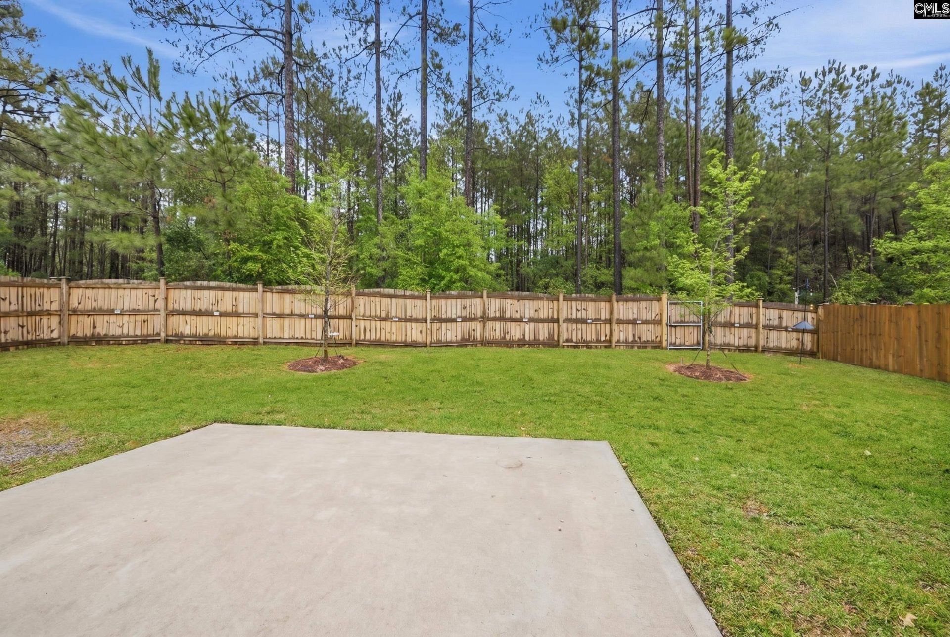 169 Carriagebrook Circle Photo 48