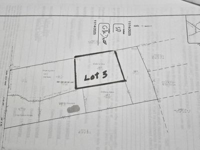 00 Myers Mayo Road, Unit Lot 3, Ridgeville, SC 29472