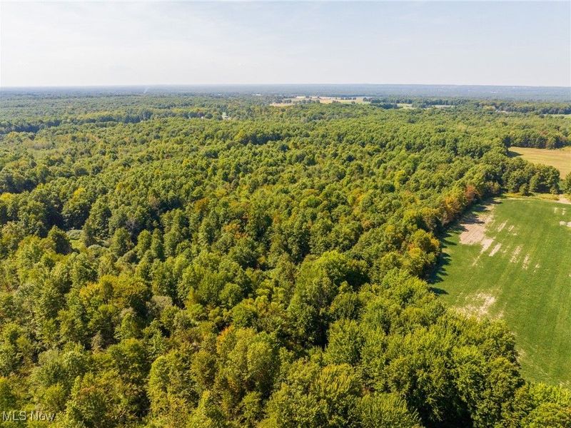 1581 E Flagg Road, Orwell, OH 44076 Photo 11