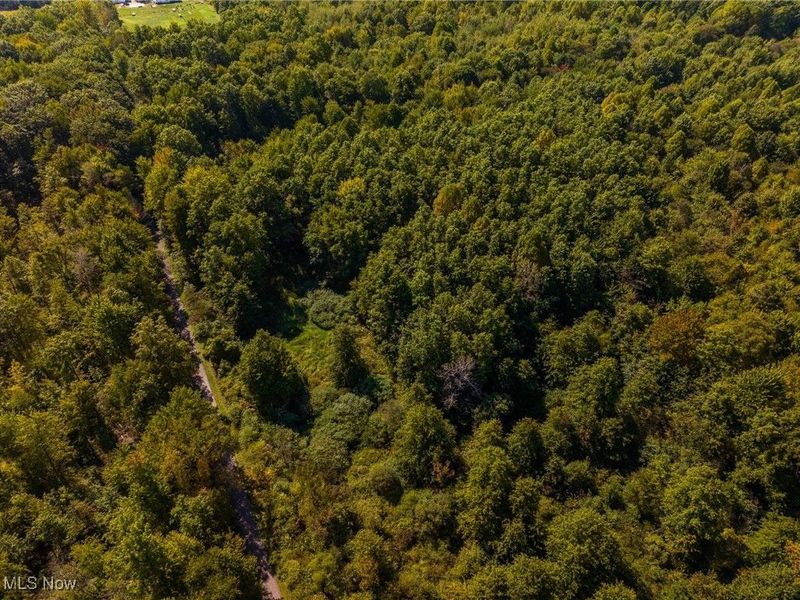 1581 E Flagg Road, Orwell, OH 44076 Photo 14