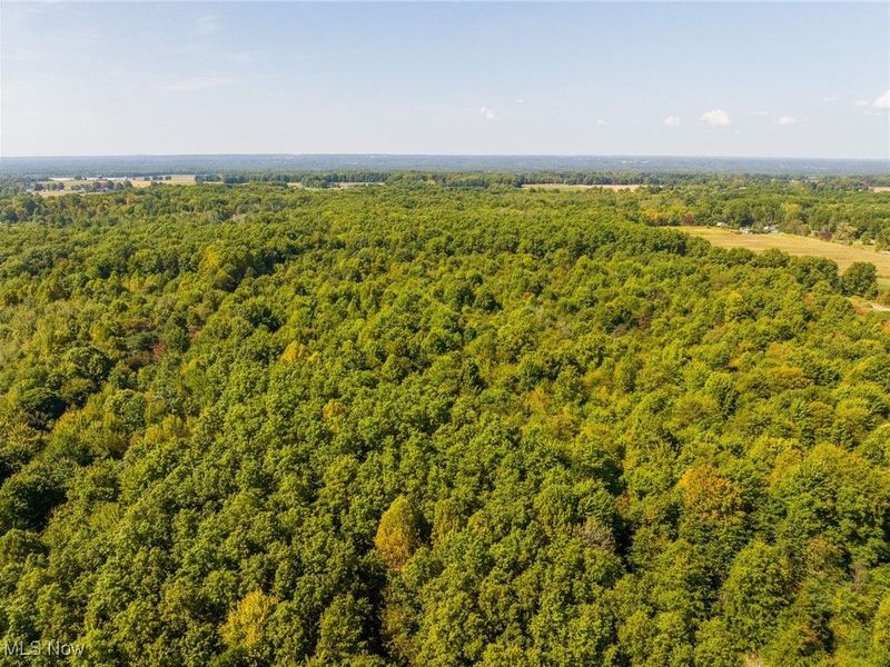 1581 E Flagg Road, Orwell, OH 44076 Photo 15