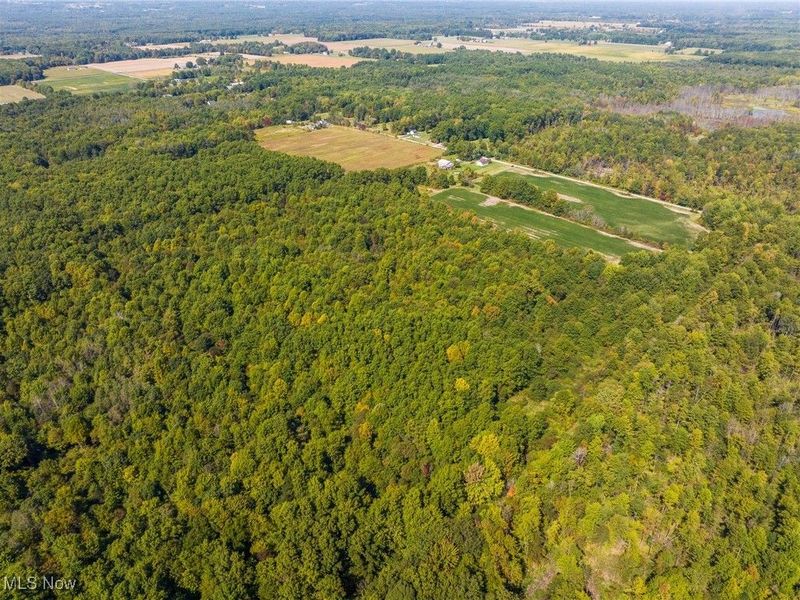 1581 E Flagg Road, Orwell, OH 44076 Photo 16