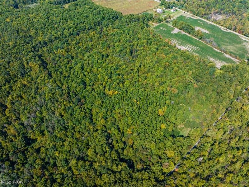 1581 E Flagg Road, Orwell, OH 44076 Photo 17