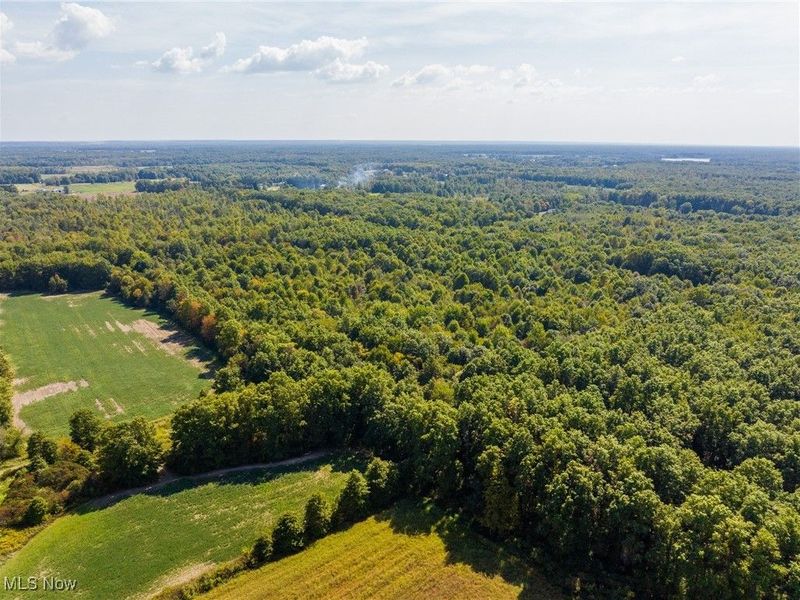 1581 E Flagg Road, Orwell, OH 44076 Photo 22