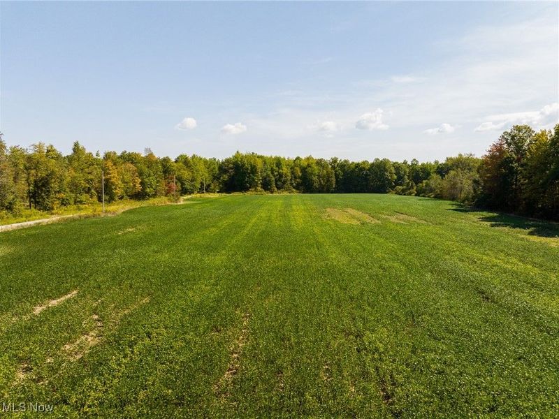 1581 E Flagg Road, Orwell, OH 44076 Photo 6