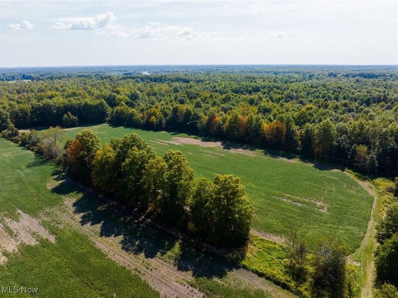 1581 E Flagg Road, Orwell, OH 44076 Photo 8