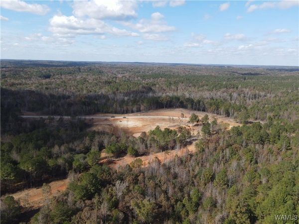 11 Cedar Ridge, Northport, AL 35475