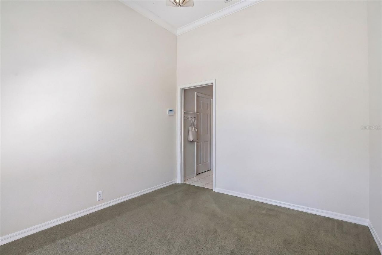 777 Cattail Court Ne, Saint Petersburg, FL 33703 Photo