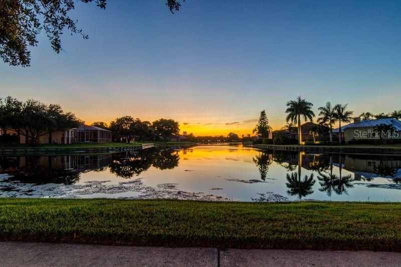 777 Cattail Court Ne, Saint Petersburg, FL 33703 Photo