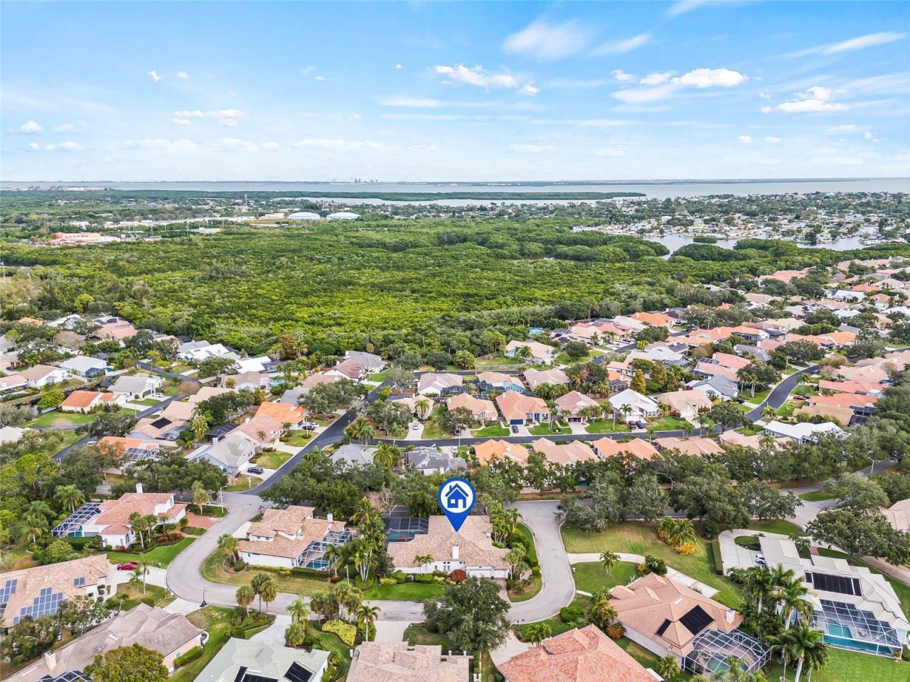 777 Cattail Court Ne, Saint Petersburg, FL 33703 Photo