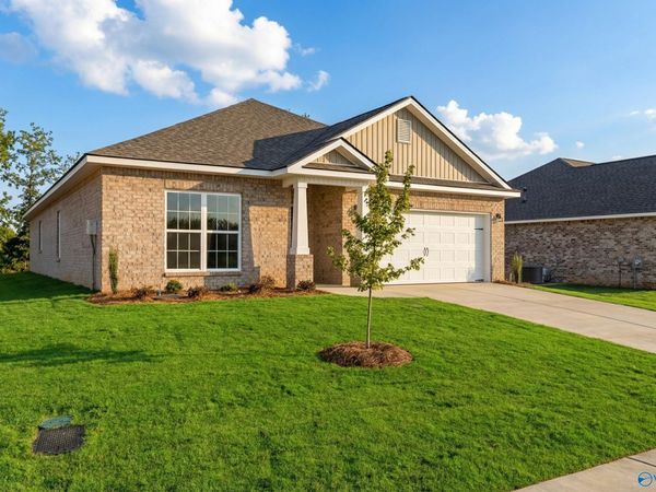 159 Ivy Vine Drive, Toney, AL 35773