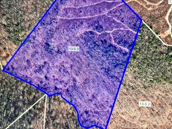 Basham Branch Road, JUMPING BRANCH, WV 25951