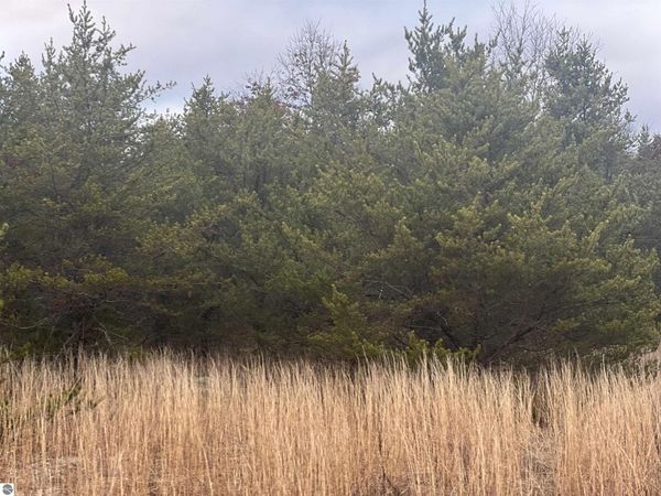 2214 56th Street E, Chase, MI 49623