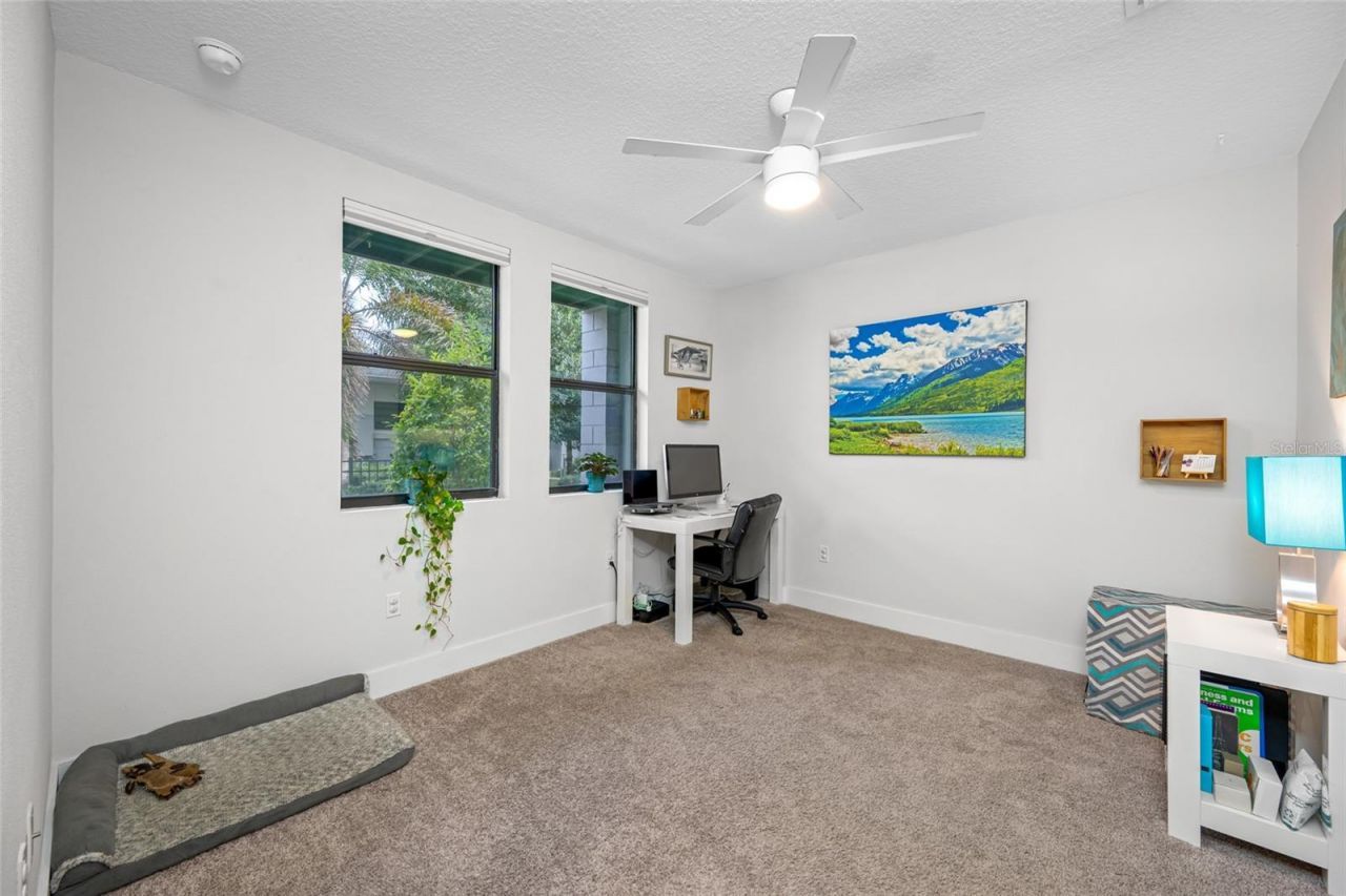 1171 25th Lane N, Saint Petersburg, FL 33713 Photo