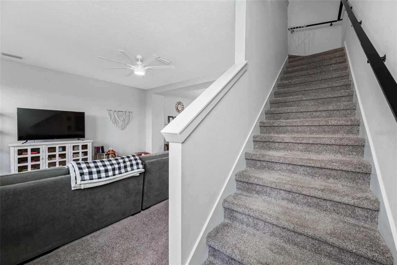 1171 25th Lane N, Saint Petersburg, FL 33713 Photo