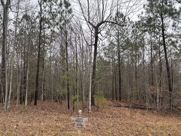 3699 Crockett Pointe, Jasper, TN 37347