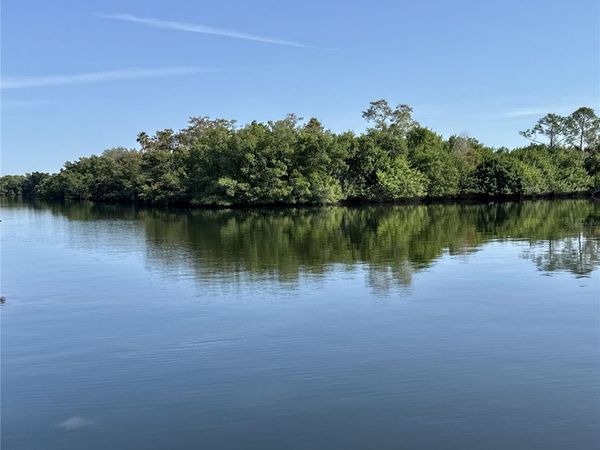 340 MOUNT OAK AVENUE NE, Unit 754, ST PETERSBURG, FL 33702