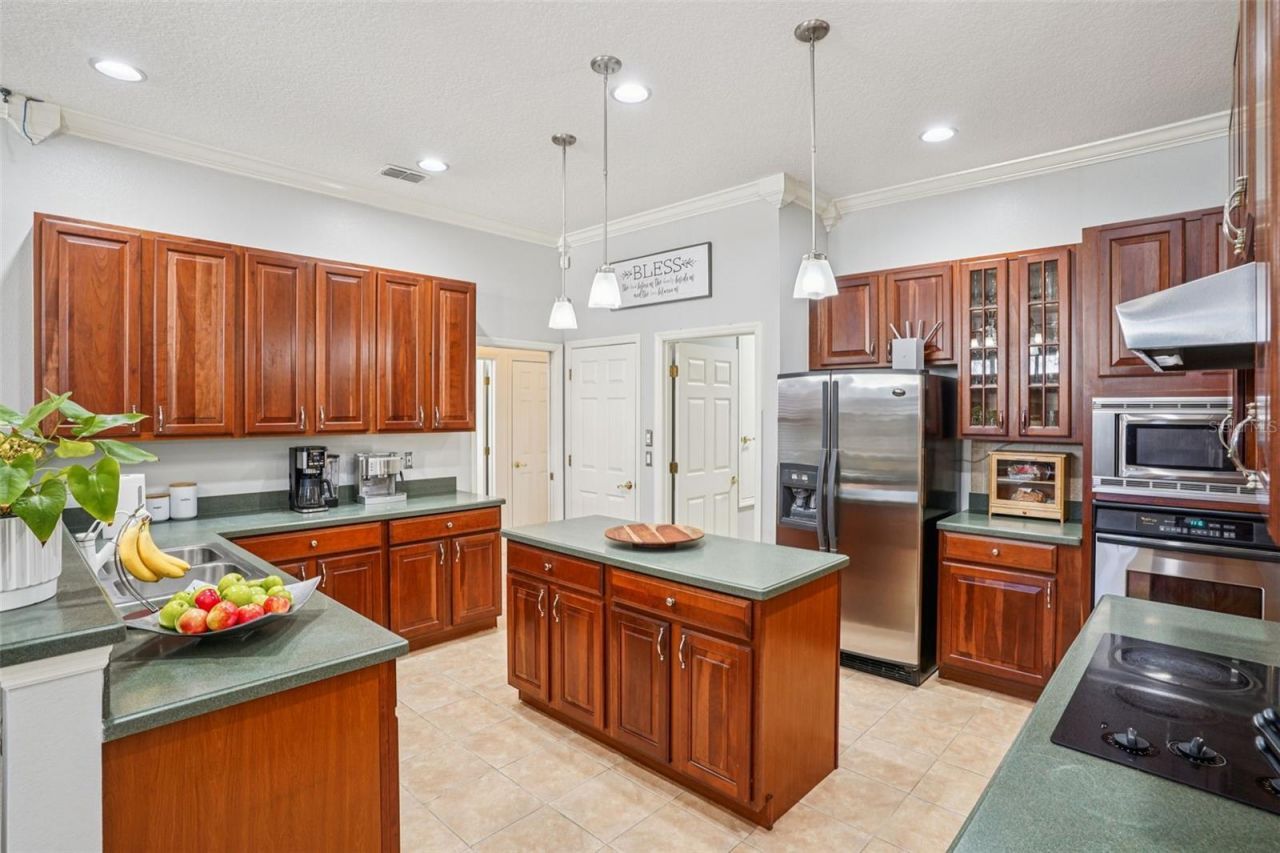 847 Cura Court, Oakland, FL 34787 Photo