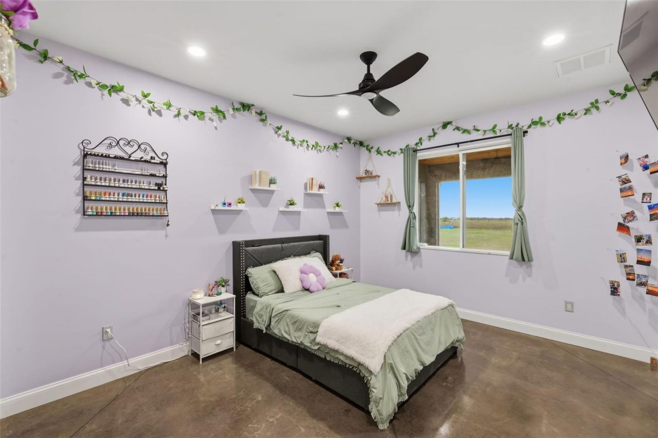 17165 Lake Iola Road, Dade City, FL 33523 Photo