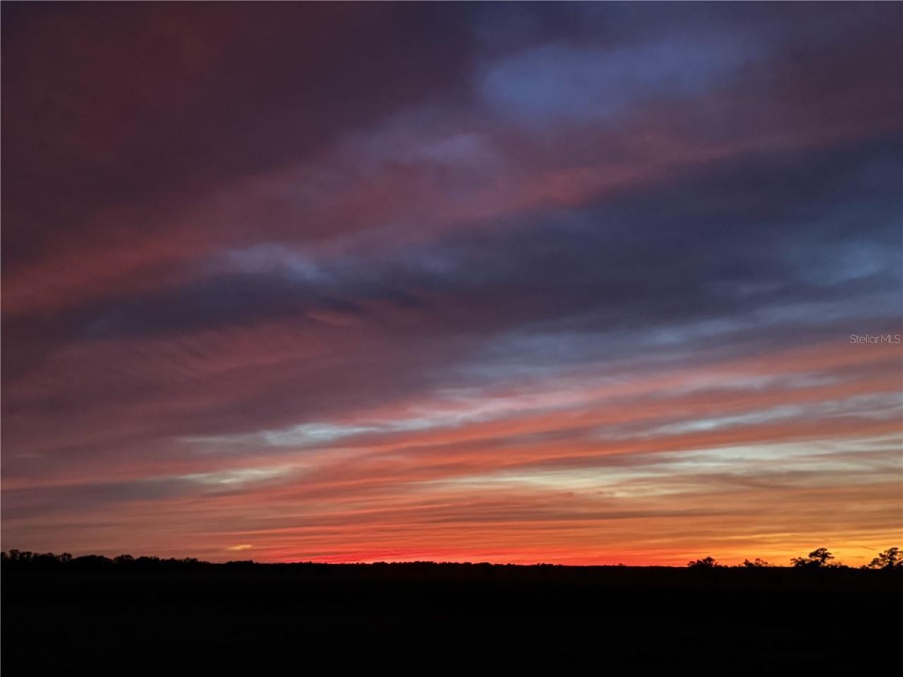 17165 Lake Iola Road, Dade City, FL 33523 Photo