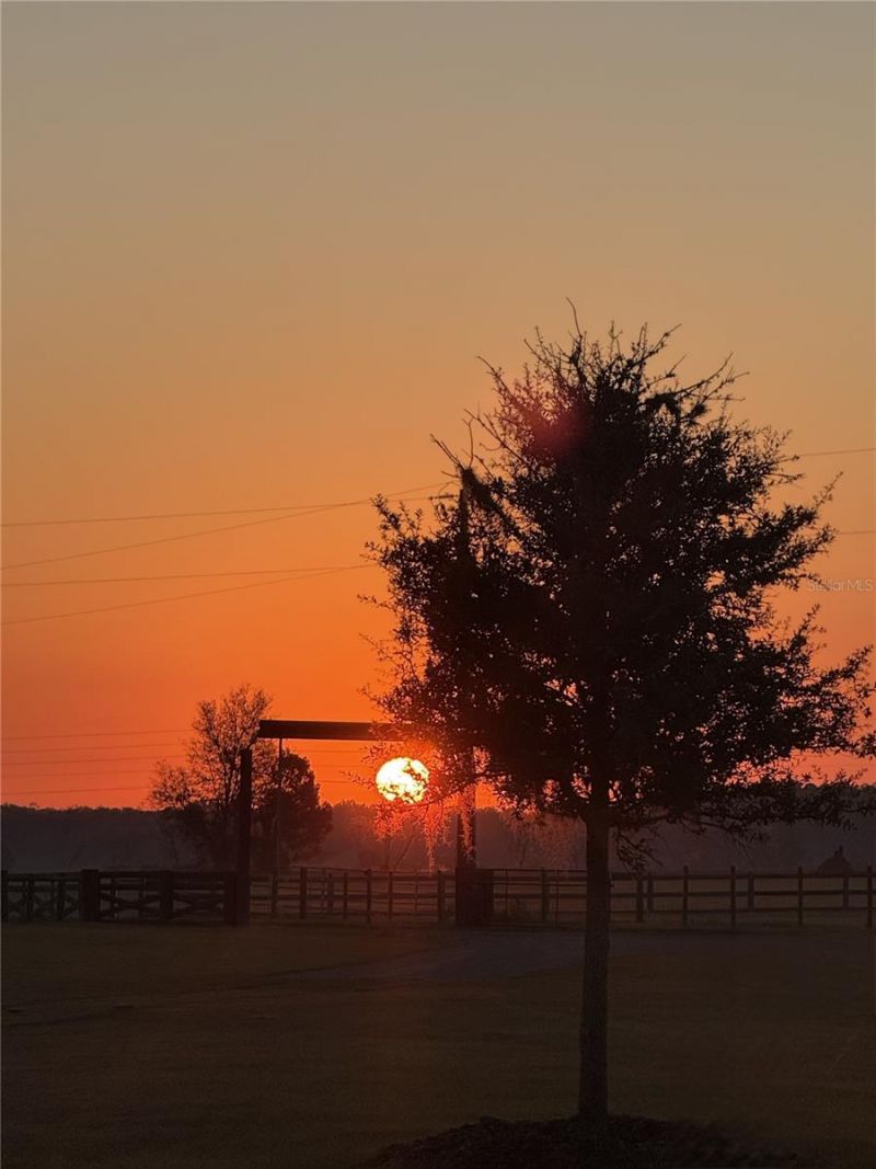 17165 Lake Iola Road, Dade City, FL 33523 Photo