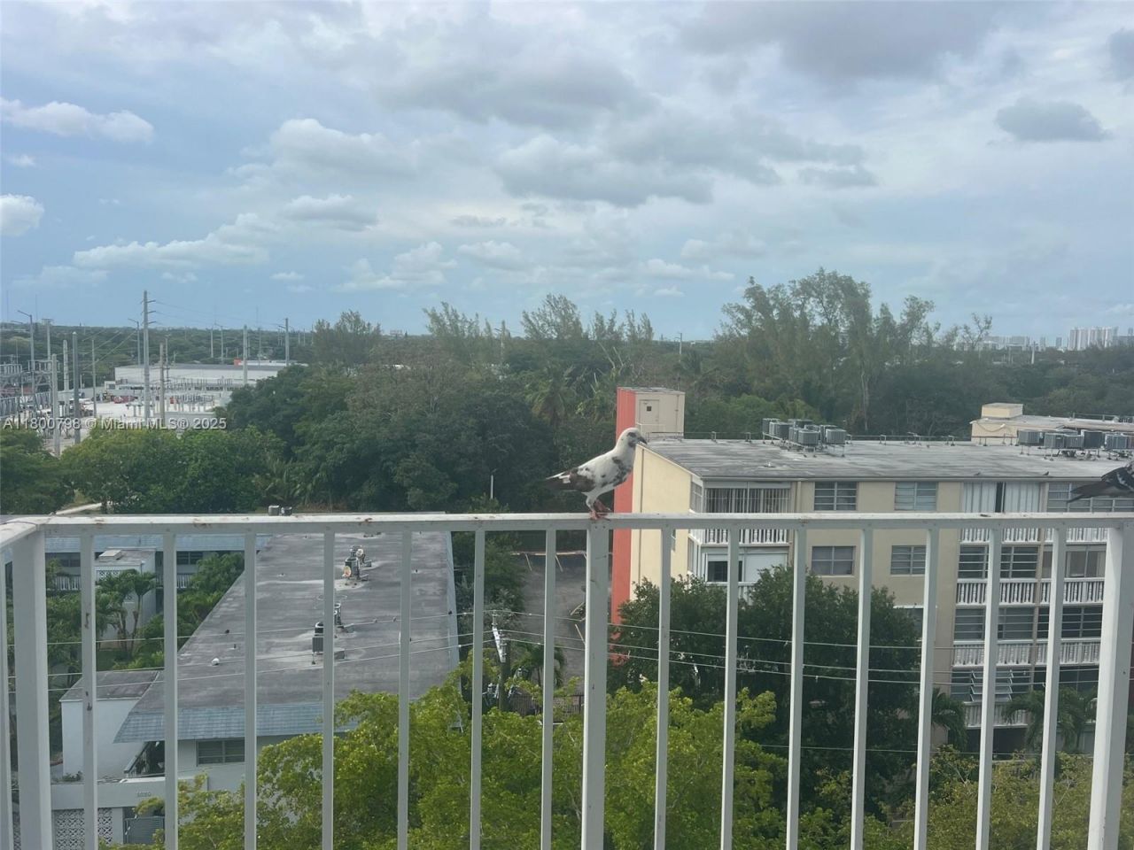 1470 NE 125th Ter, Unit 810, North Miami, FL 33161 Photo