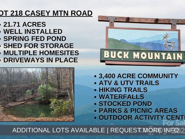 TBD Casey Mountain Road, Purlear, NC 28665