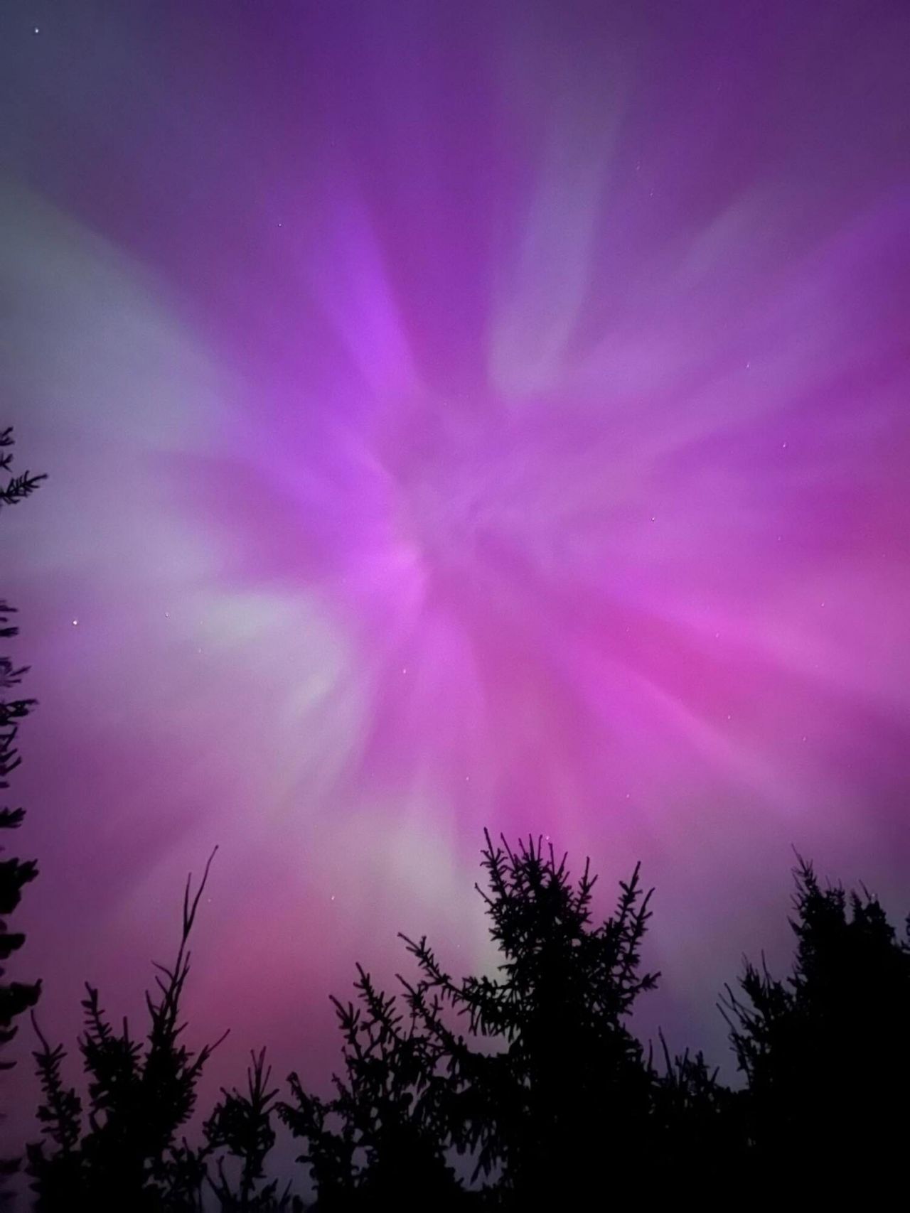 402 Chippendale Lane Photo 64