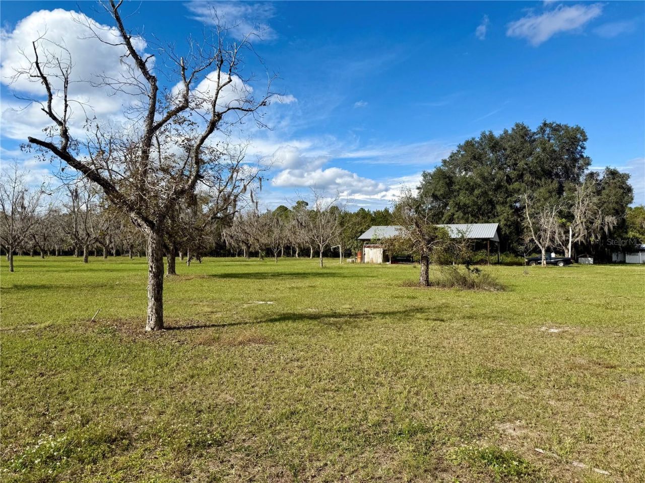 23915 NE State Rd 26, Melrose, FL 32666 Photo
