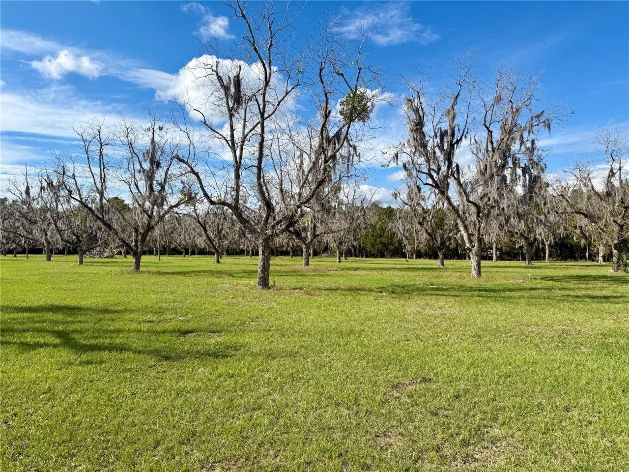 23915 NE State Rd 26, Melrose, FL 32666 Photo