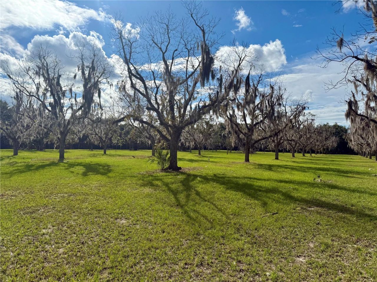 23915 NE State Rd 26, Melrose, FL 32666 Photo