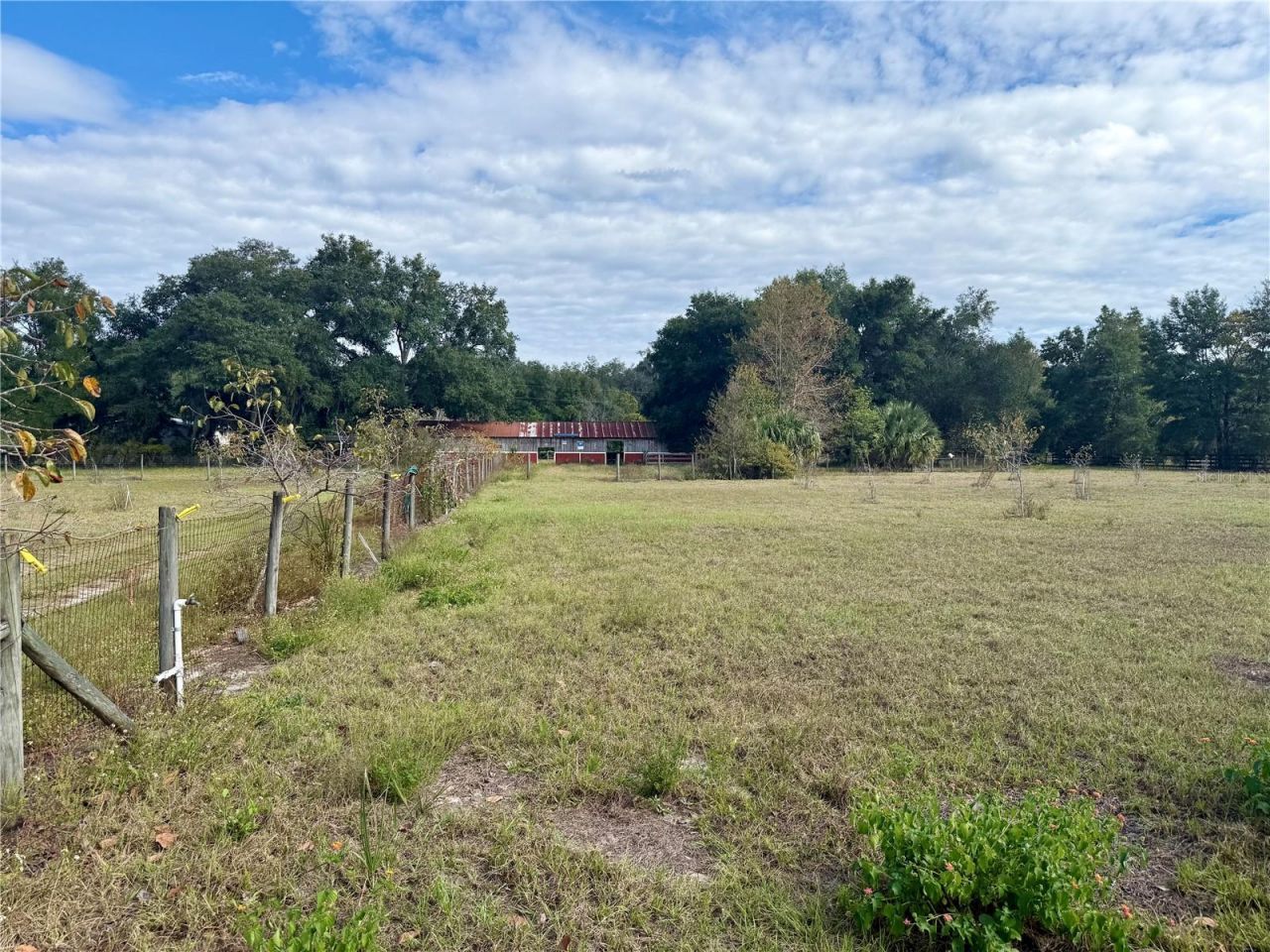 23915 NE State Rd 26, Melrose, FL 32666 Photo