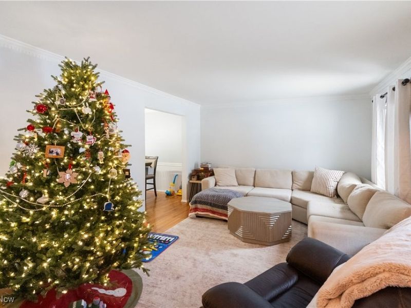 492 Hickory Hollow Drive, Canfield, OH 44406 Photo 6