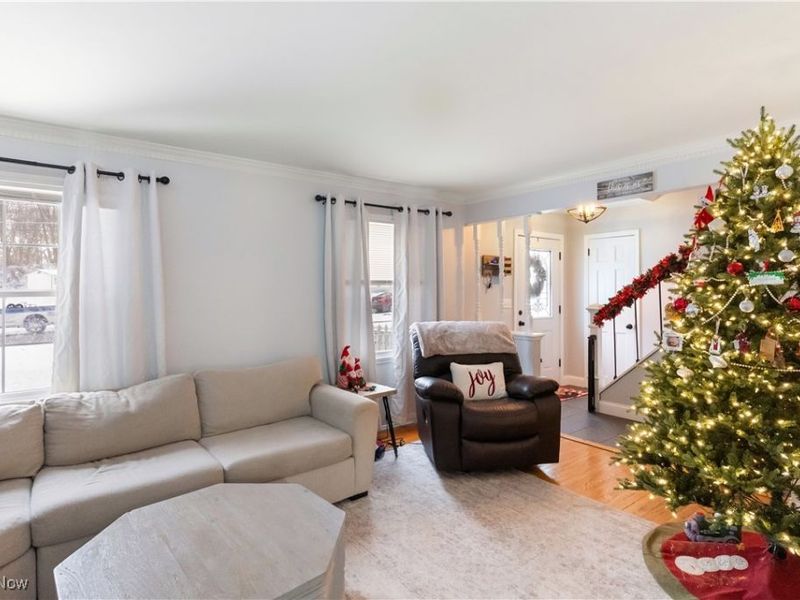 492 Hickory Hollow Drive, Canfield, OH 44406 Photo 8