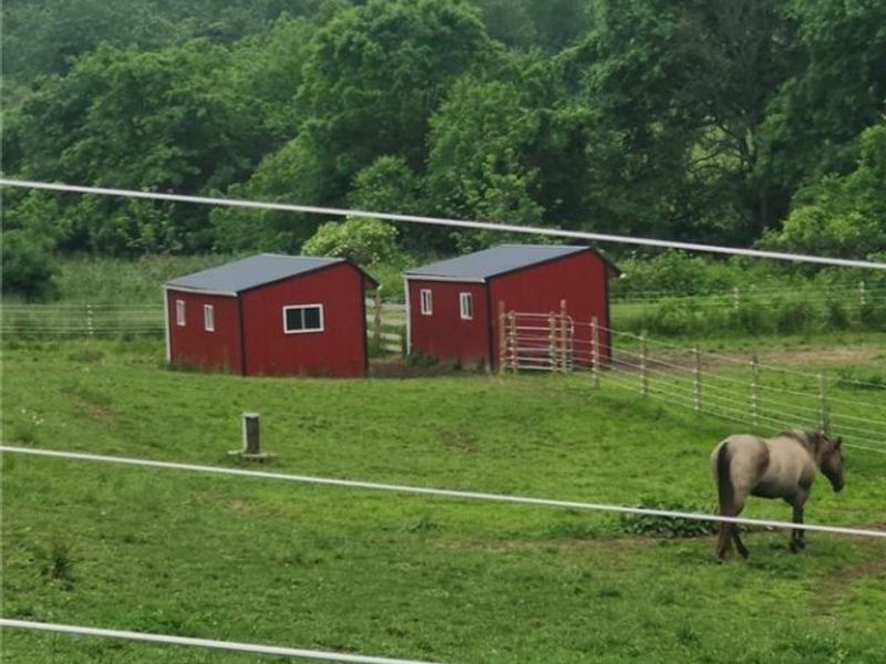 7360 Jones Road, Nashport, OH 43830 Photo 3