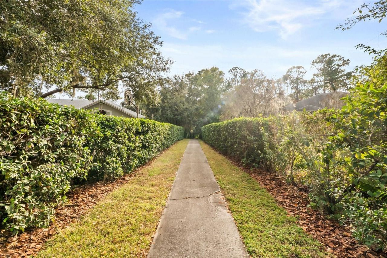 4512 Bridgewater Drive, Orlando, FL 32817 Photo