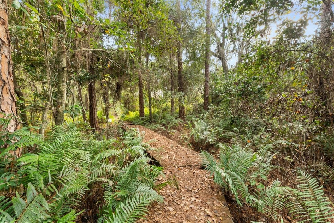 4512 Bridgewater Drive, Orlando, FL 32817 Photo