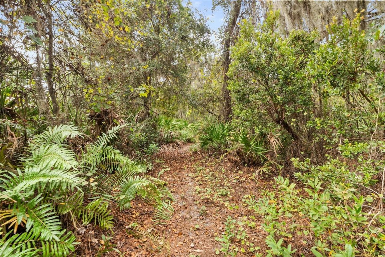 4512 Bridgewater Drive, Orlando, FL 32817 Photo