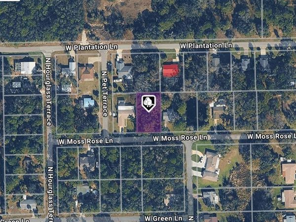 9657 W MOSS ROSE LANE, CRYSTAL RIVER, FL 34429