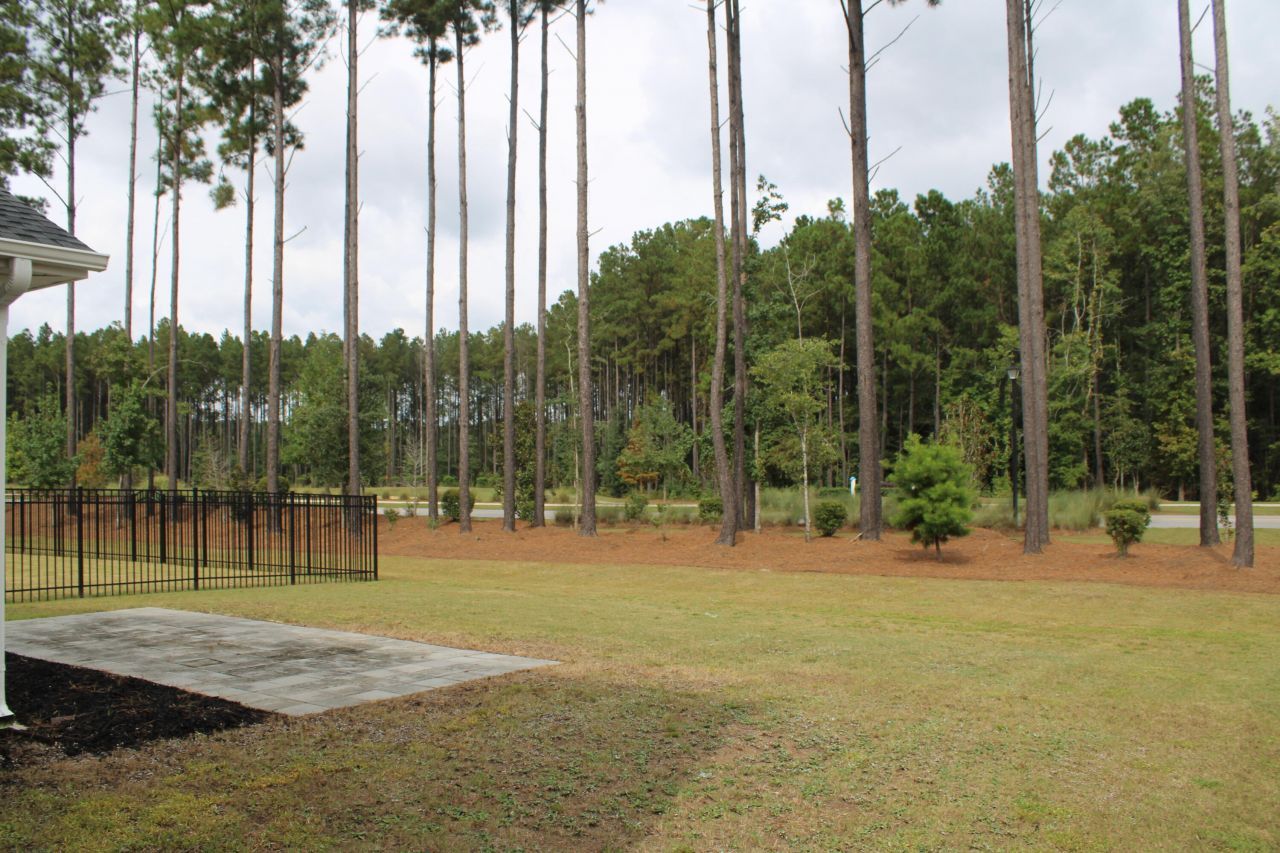 1008 Magnolia Warbler Way Way Photo 10