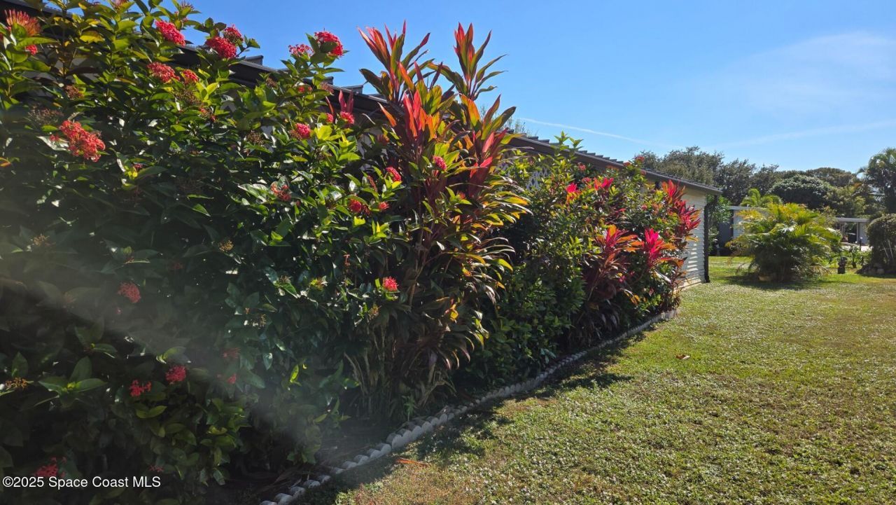 927 Yew Street, Barefoot Bay, FL 32976 Photo