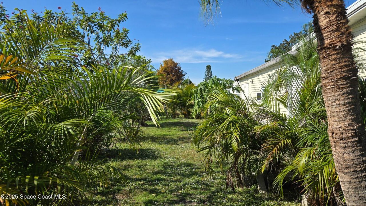 927 Yew Street, Barefoot Bay, FL 32976 Photo