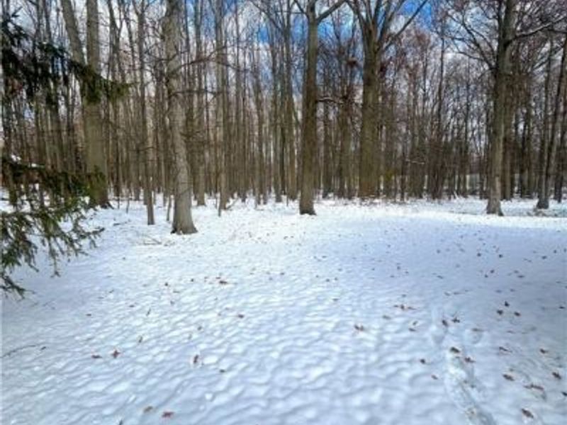 6684 Hidden Lake Trail, Brecksville, OH 44141 Photo 19