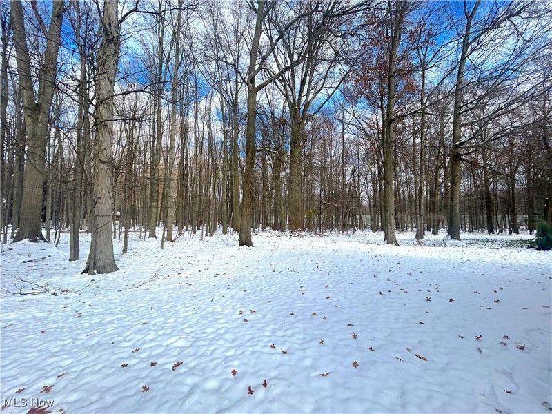 6684 Hidden Lake Trail, Brecksville, OH 44141 Photo 2