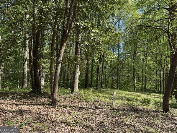 910 Lewis Drive, Lavonia, GA 30553