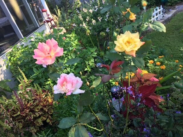 5324 Copley Circle Photo 24