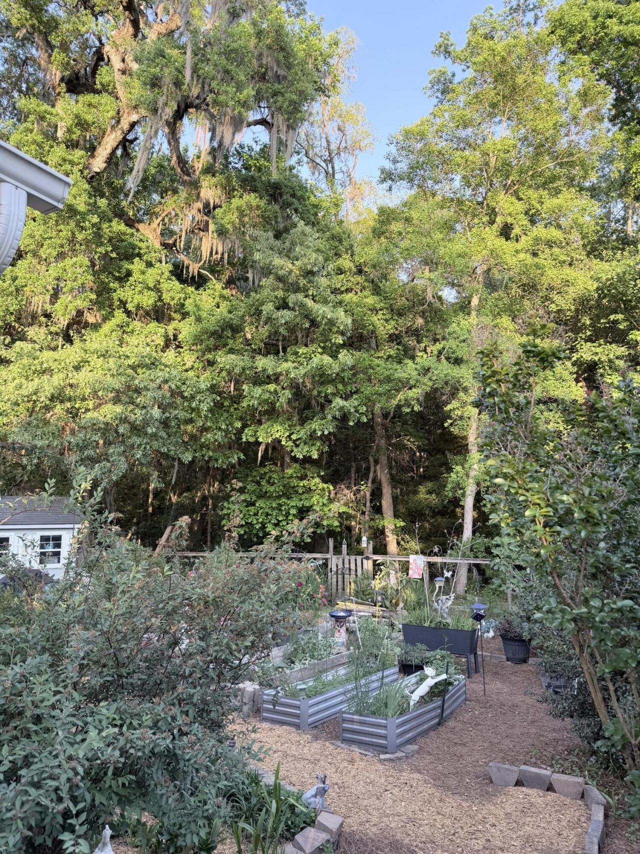 5324 Copley Circle Photo 28