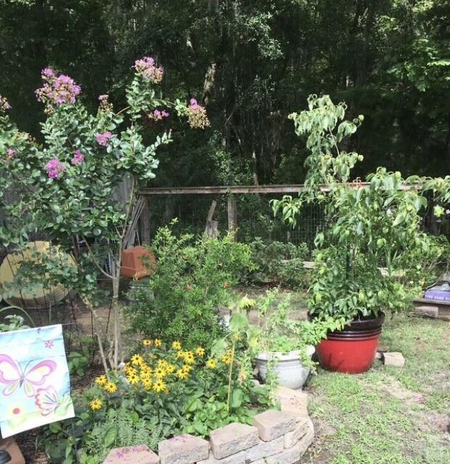 5324 Copley Circle Photo 29