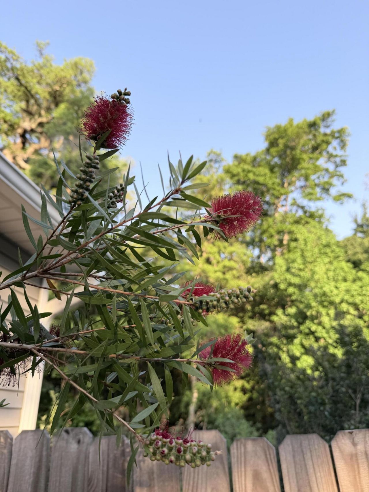 5324 Copley Circle Photo 30