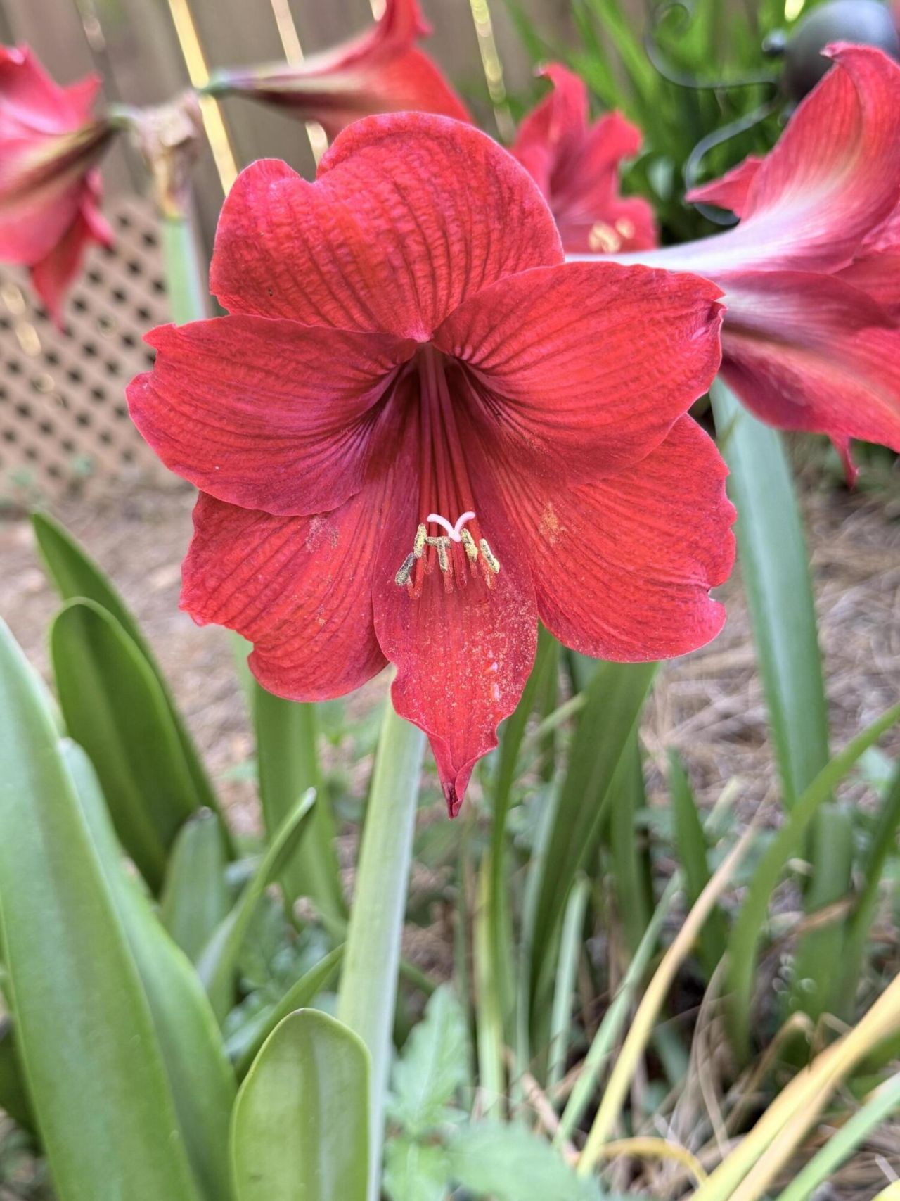 5324 Copley Circle Photo 32